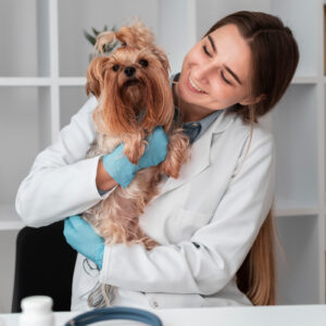 Veterinário